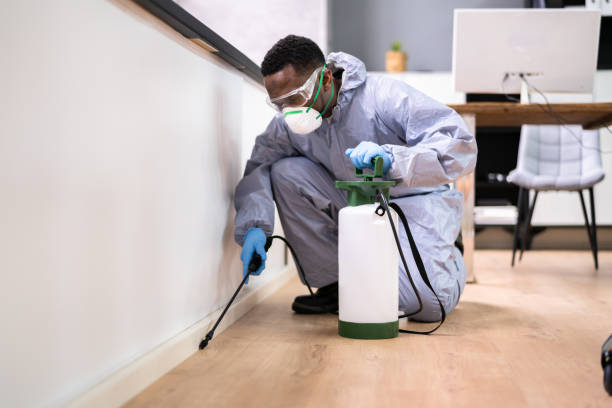 Best Residential Pest Control  in Spring Lake Park, MN